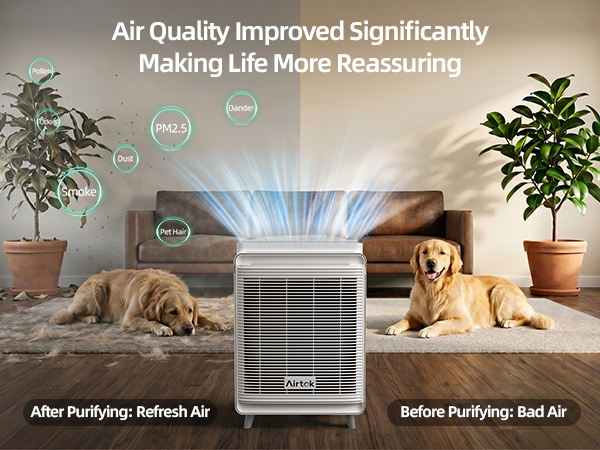 Air Purifier