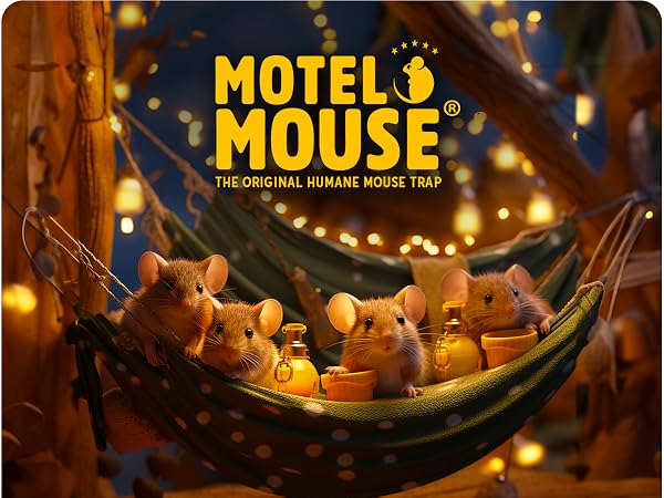 Humane Mouse Traps