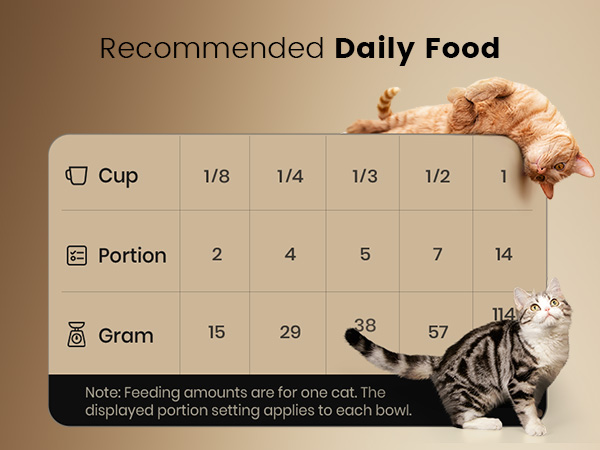 automatic cat feeder