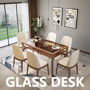 GLASS DESK SQUEEGEE