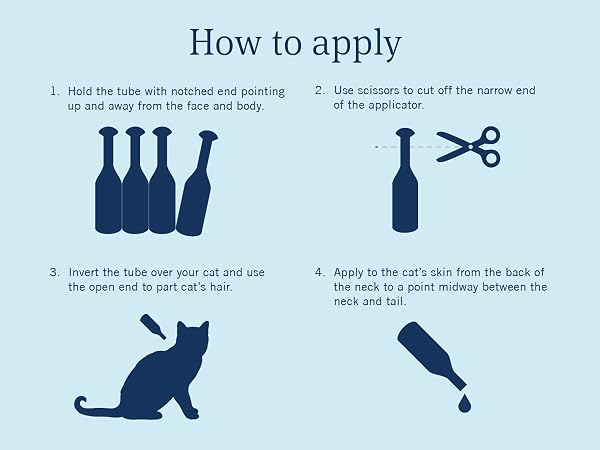 how to apply