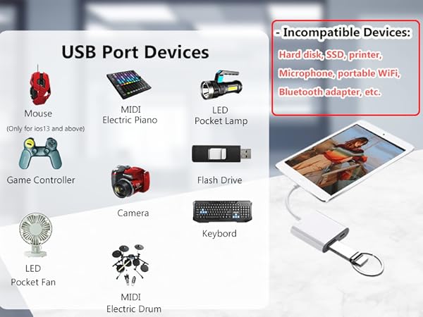 Lightning to USB Adapter