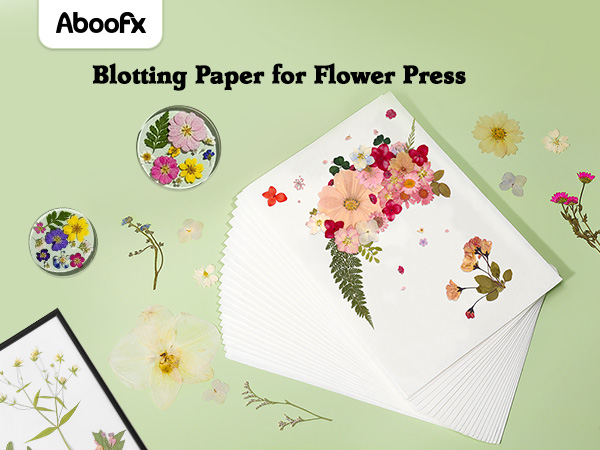 blotting paper