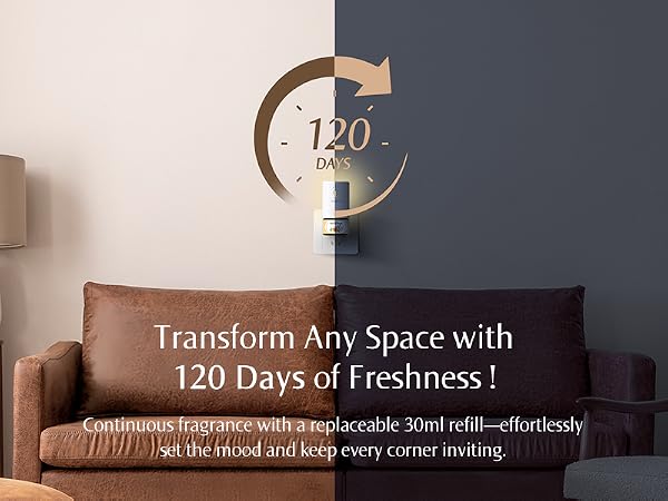 Transform Any Space with 120 Days of Freshness!