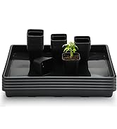 Seedling Tray with Pots