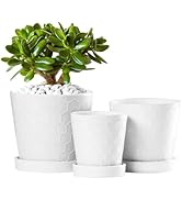 BUYMAX Plant Pots – 4”+5”+6” inch Ceramic Planter with Drainage Holes and Ceramic Tray - Gardenin...