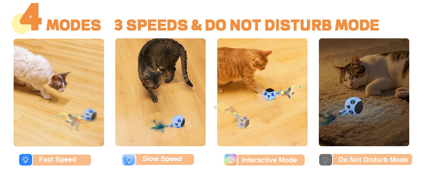 interactive cat toy
