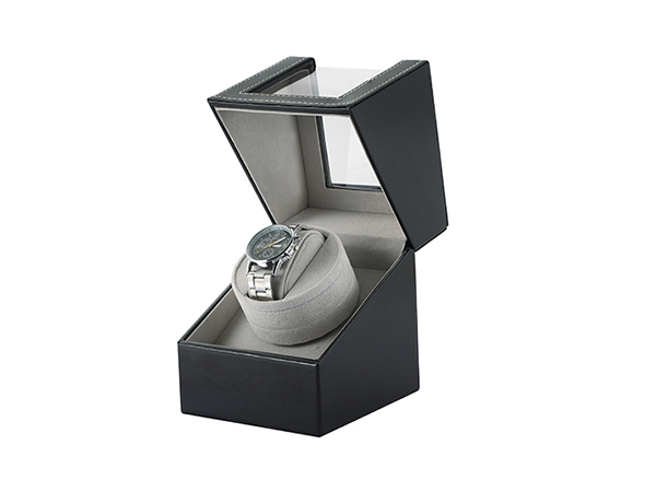 watch case