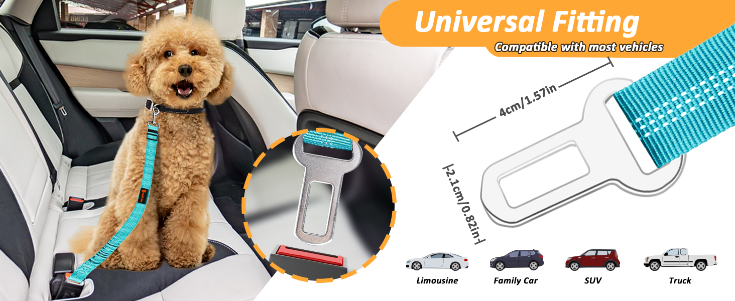 dog seat belt for car
