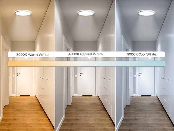 Motion Ceiling Light