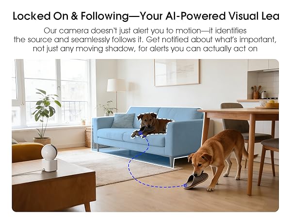 Indoor Security Camera