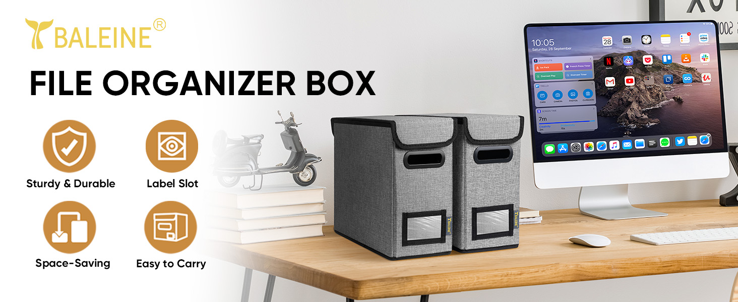 file organizer