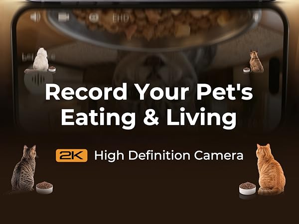pet feeder with camera