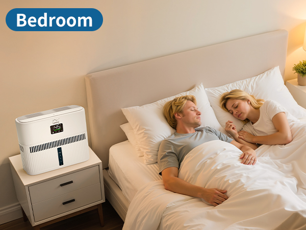 Evaporative Humidifier