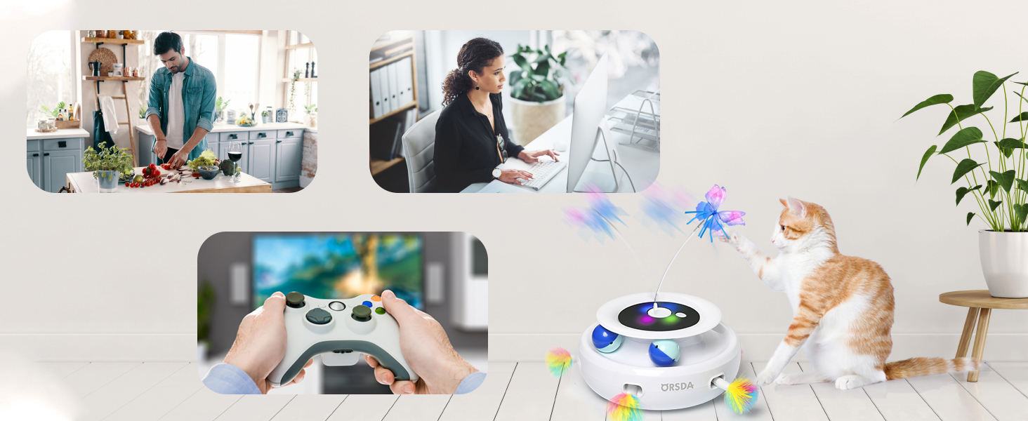 Interactive Cat Toys for Indoor