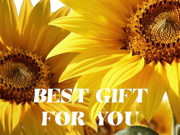 Valentine’s Day Gift for Her