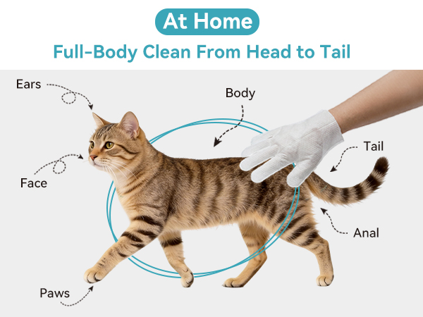 pet glove wipes for cats