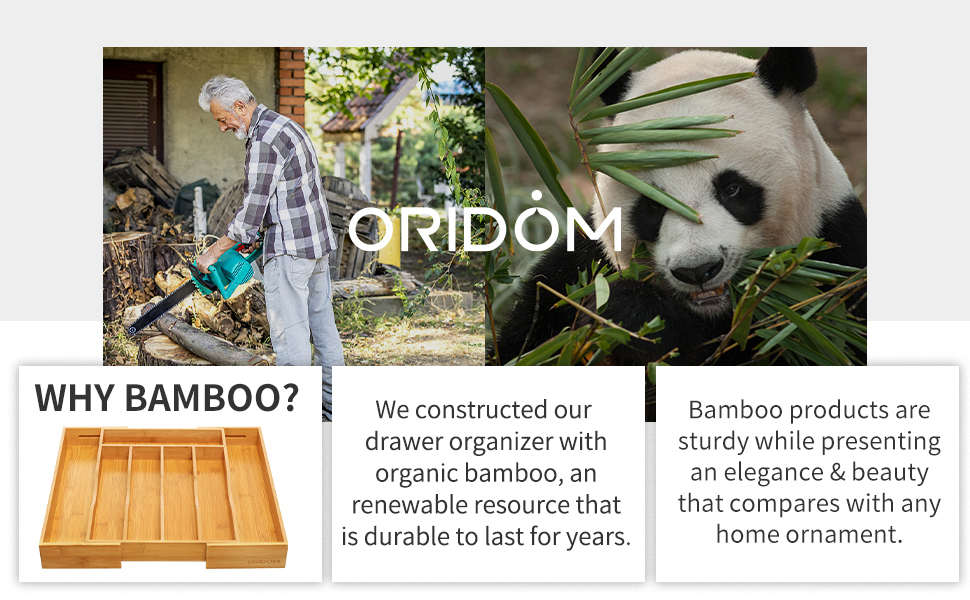 why bamboo