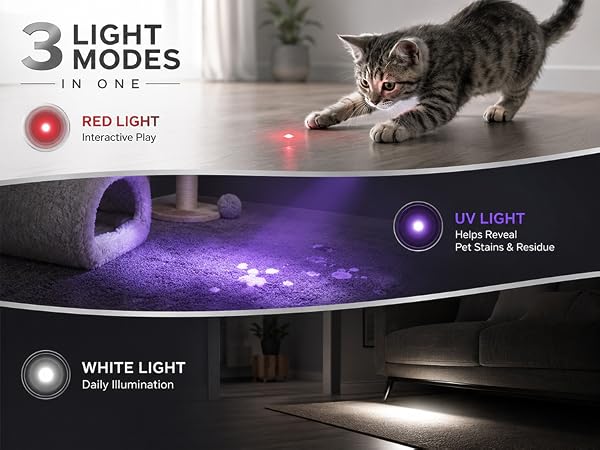 3 LIGHT MODESIN ONE