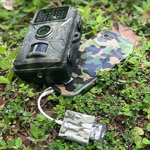 camouflage trail camera