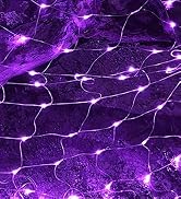 Purple Net Lights