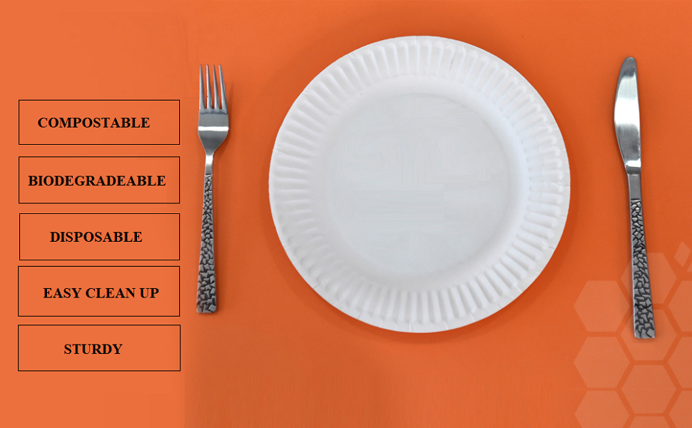 Paper Plate