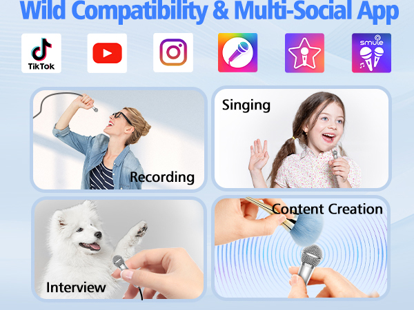 mini mic