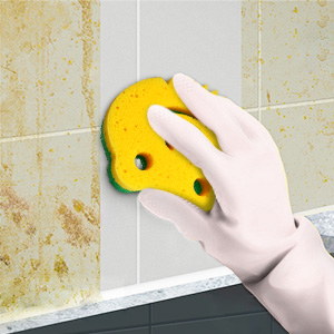 scrub daddy sponge