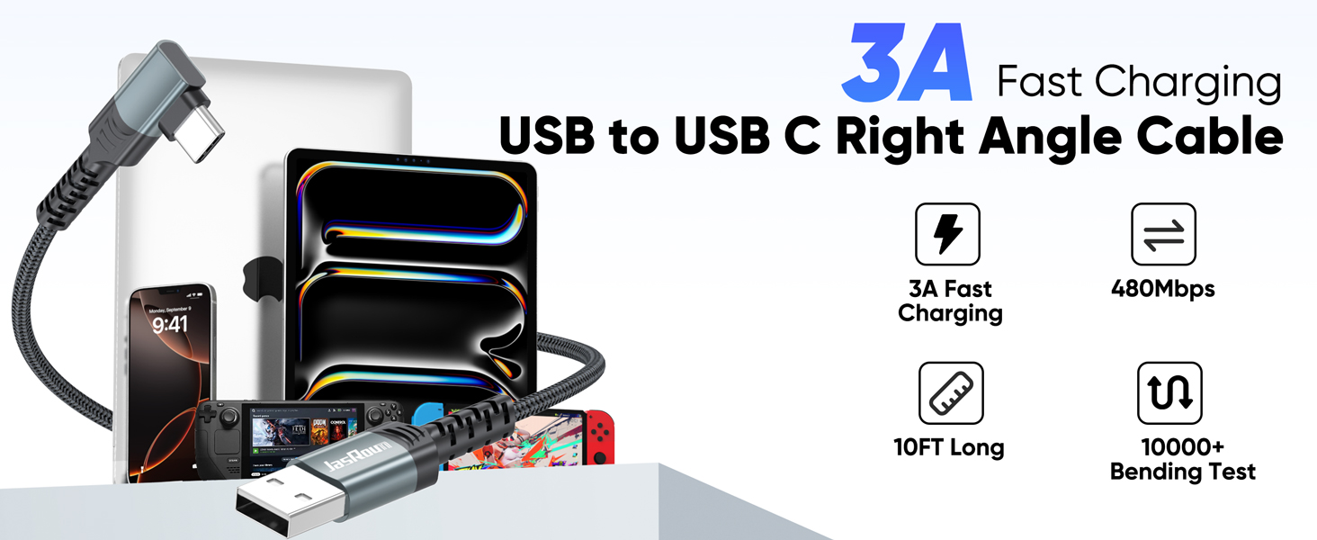 10ft usb c cable fast charging