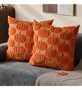 DFXSZ Fall Pillow Covers 18x18 Set of 2 Fall Decorations Autumn Orange Pumpkin Throw Pillow Cases...