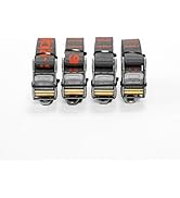 Rollercam 1.0" Cam Buckle Tie Down Straps - Signature Roller Technology - Ideal for Overlanding, ...