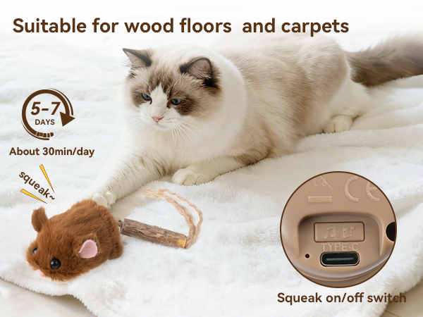 interactive cat toy motion sensor cat toy rechargeable cat toy smart cat toy