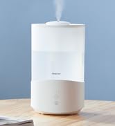 Cool Mist Humidifier