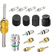 Qurbuns Car Air Conditioning Valve Core Kits, R12 R134a A/C Refrigeration Valve Stem Cores & Caps...