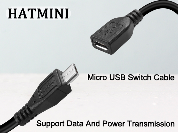 micro data Switch cable
