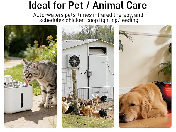 ideal for pet and animal care