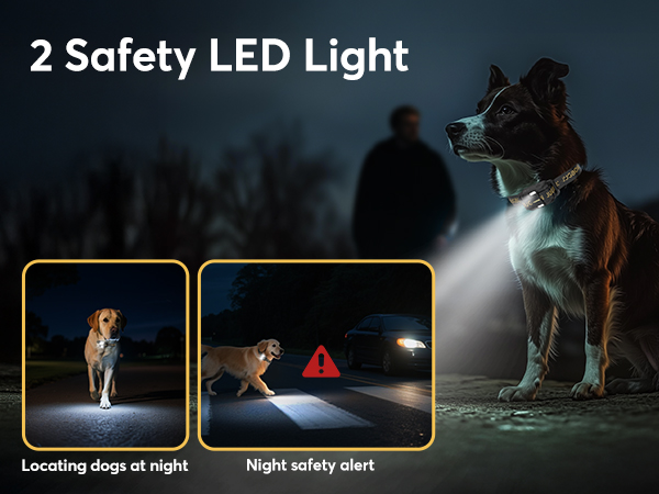 dog shock collar with remote control