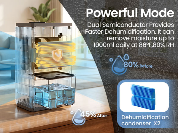 dehumidifier