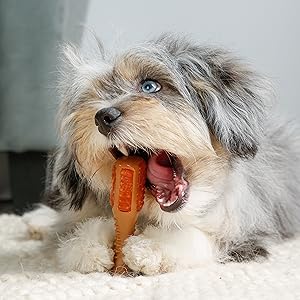 Chew 'n clean