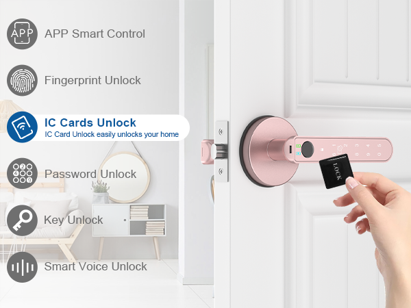 Fingerprint Door Knob