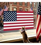 Whaline American Flag Window Cling Decal 4th of July 250th Anniversary Double Sided Static Window...
