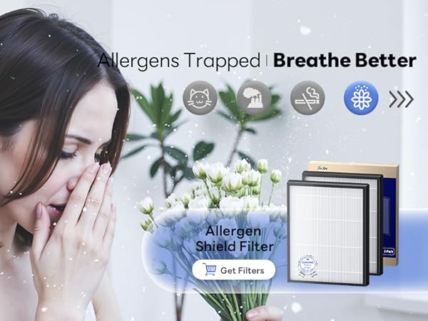 air purifier