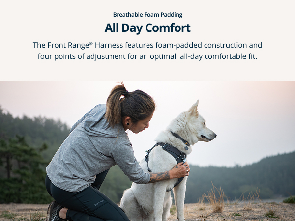 Lightweight, breathable dog walking harness built for daily strolls and outdoor fun.