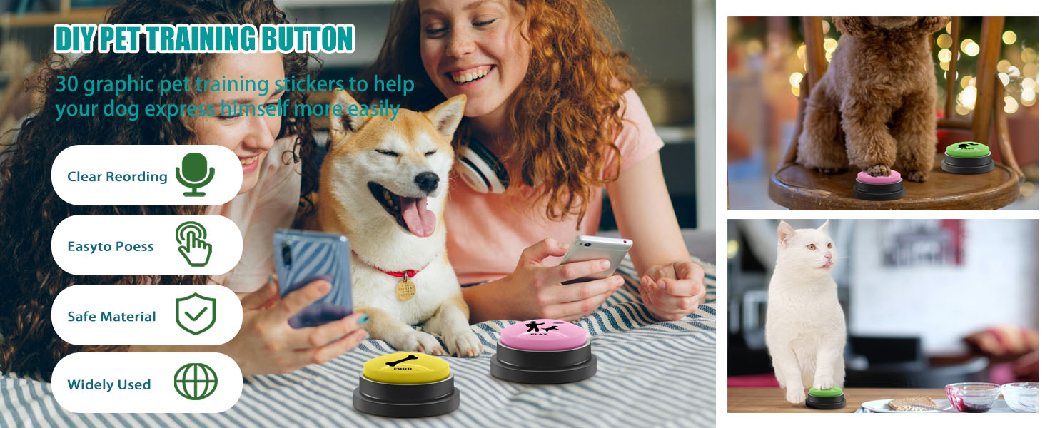 Dog speaking buttons