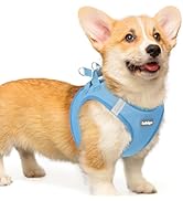 rabbitgoo Small Dog Harness, Step-in Soft Mesh Puppy Vest, Easy Walk with Safety Buckle, Breathab...