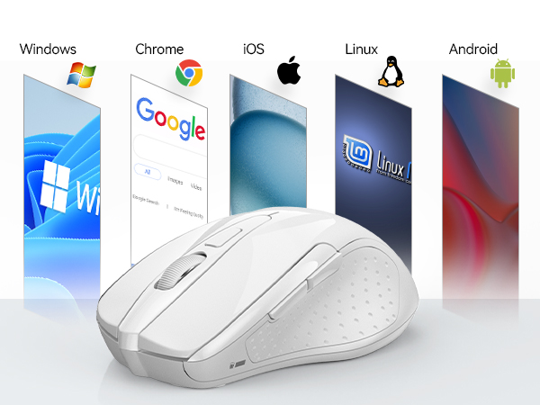 mouse