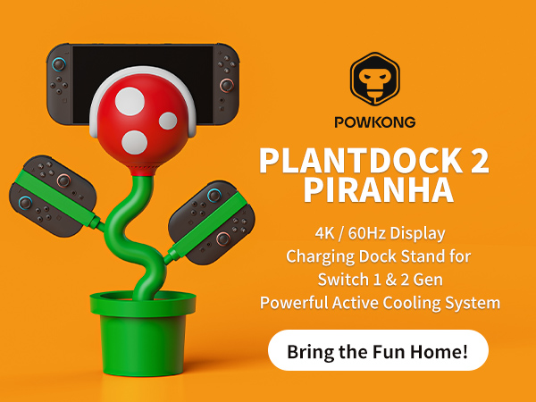 switch 2 dock