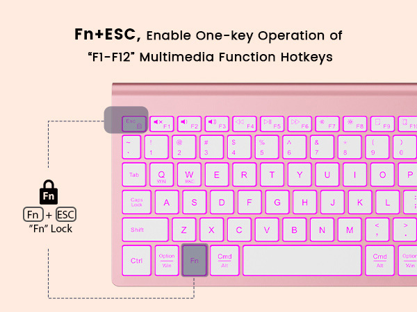 12 shortcut fn lock multimedia function