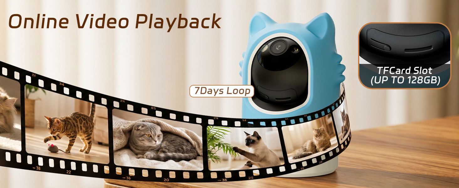 7Days Loop