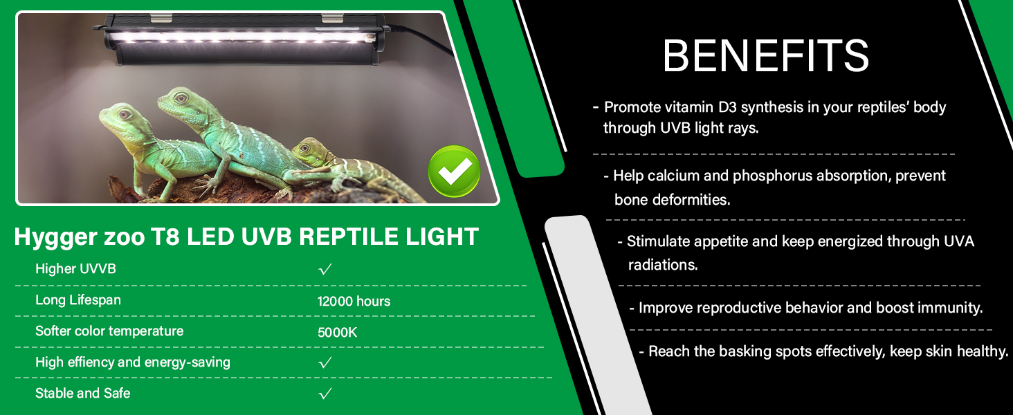 UVB light for reptile